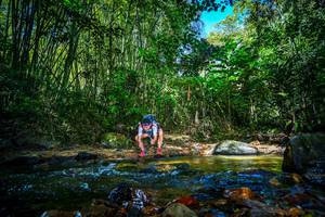 BIB: 
                            <button type="button" onclick="openModal(21765053)" class="btn btn-primary btn-sm float-right btn-popup" data-toggle="modal" data-target=".modal-high-quality">
                        <i class="fas fa-shopping-cart"></i> Add to Cart
                    </button>
                                            <button type="button" onclick="isThisMe(21765053, true)" class="btn btn-success btn-sm float-right btn-popup btn-isme hidden" data-toggle="tooltip" data-placement="bottom" title="นี่คือรูปของคุณใช่ไหม คลิกที่นี่เพื่อเอาเข้าอัลบั้ม">
                        <i class="fas fa-plus"></i> Add to album
                    </button>
                    <button type="button" onclick="isThisMe(21765053, false)" class="btn btn-warning btn-sm float-right btn-popup btn-isnotme hidden">
                        <i class="fas fa-ban"></i> Remove from album
                    </button>